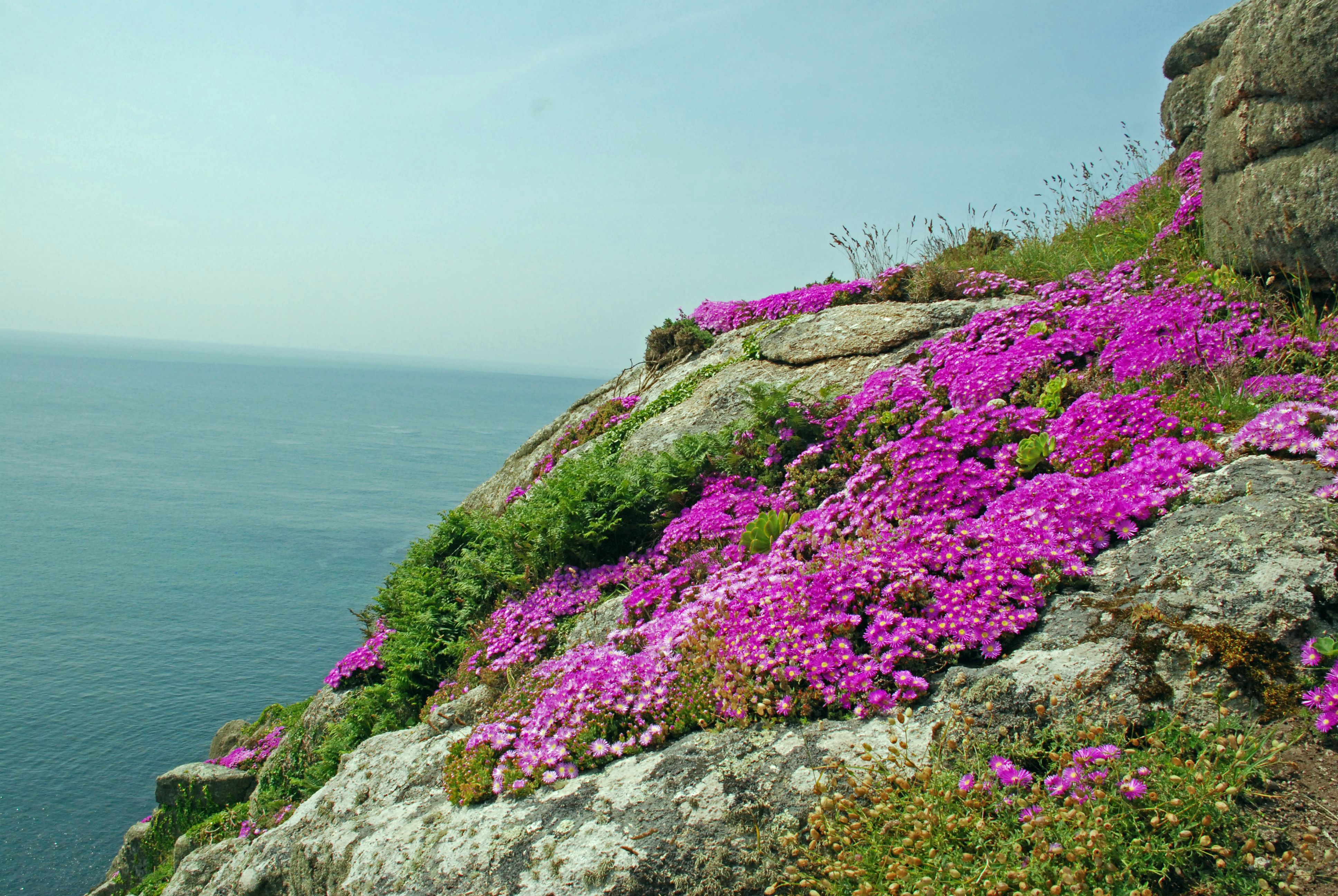 Rundt teateret var det noen fantastiske hager og blomsterflor