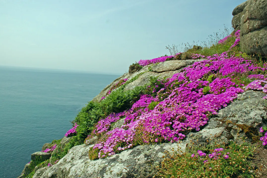 Rundt teateret var det noen fantastiske hager og blomsterflor