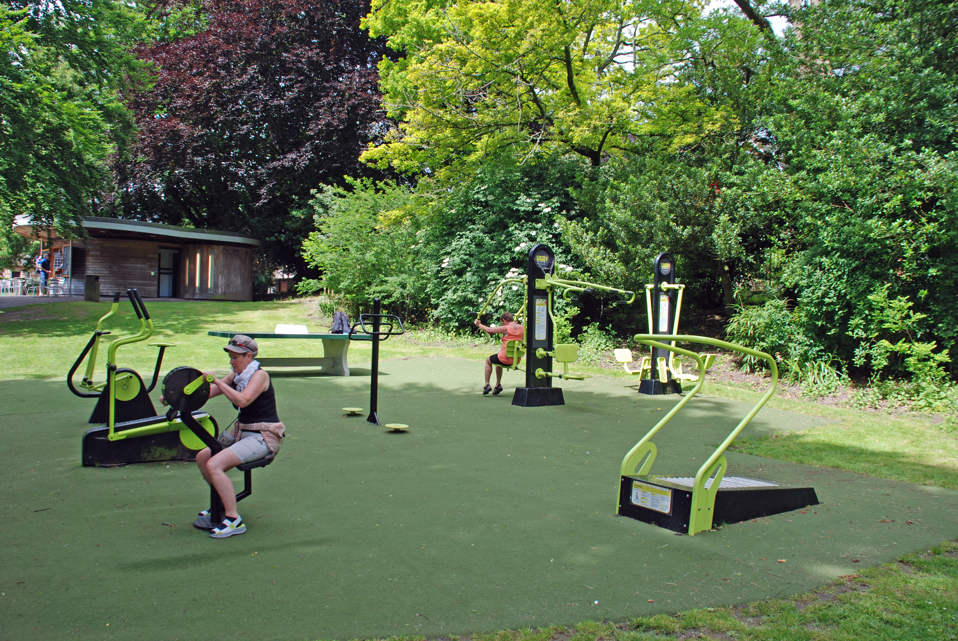 Damene prøver treningsapp. i parken i Chichester