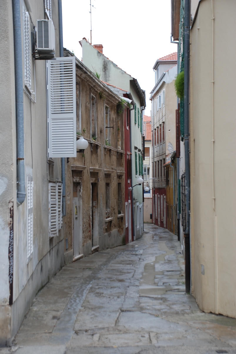 DSC_0056