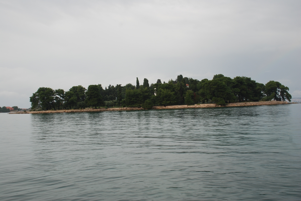 DSC_0081