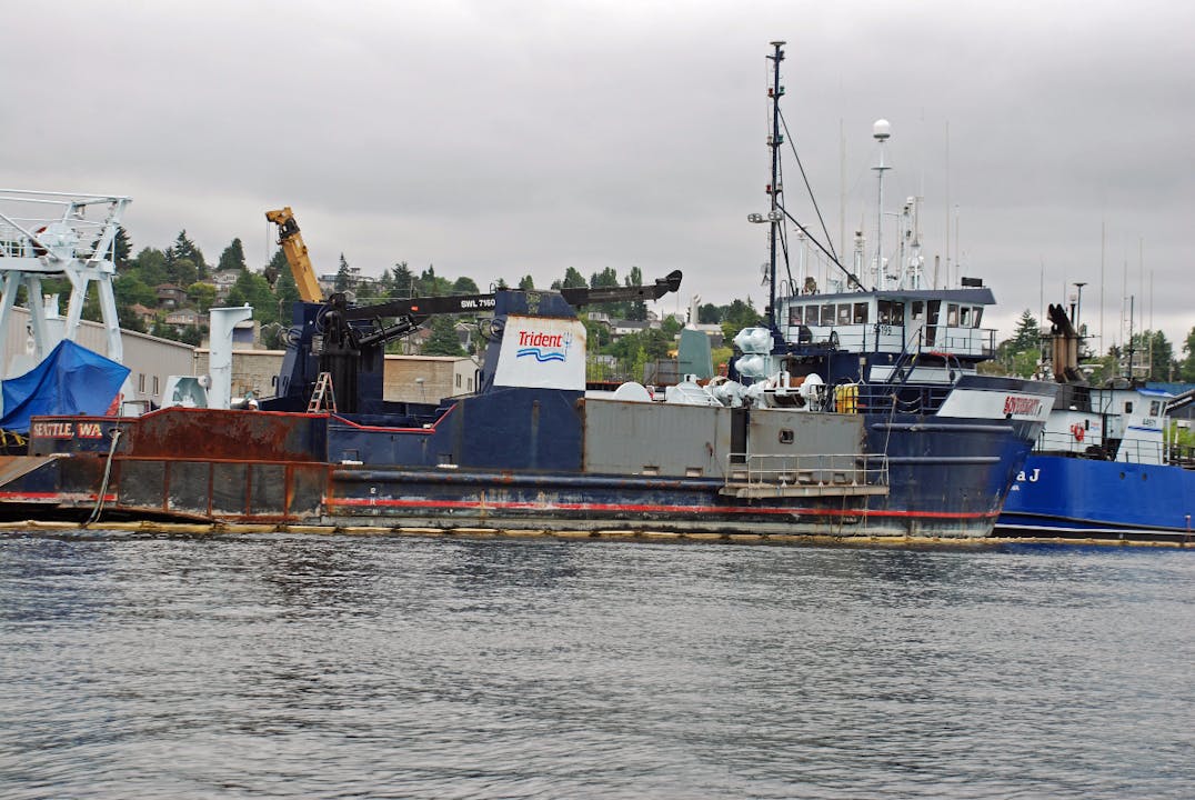 Trident har en rekke båter  i havnen