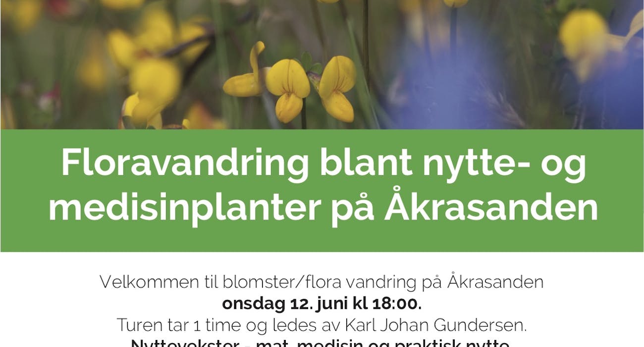 Blomstervandring 2019