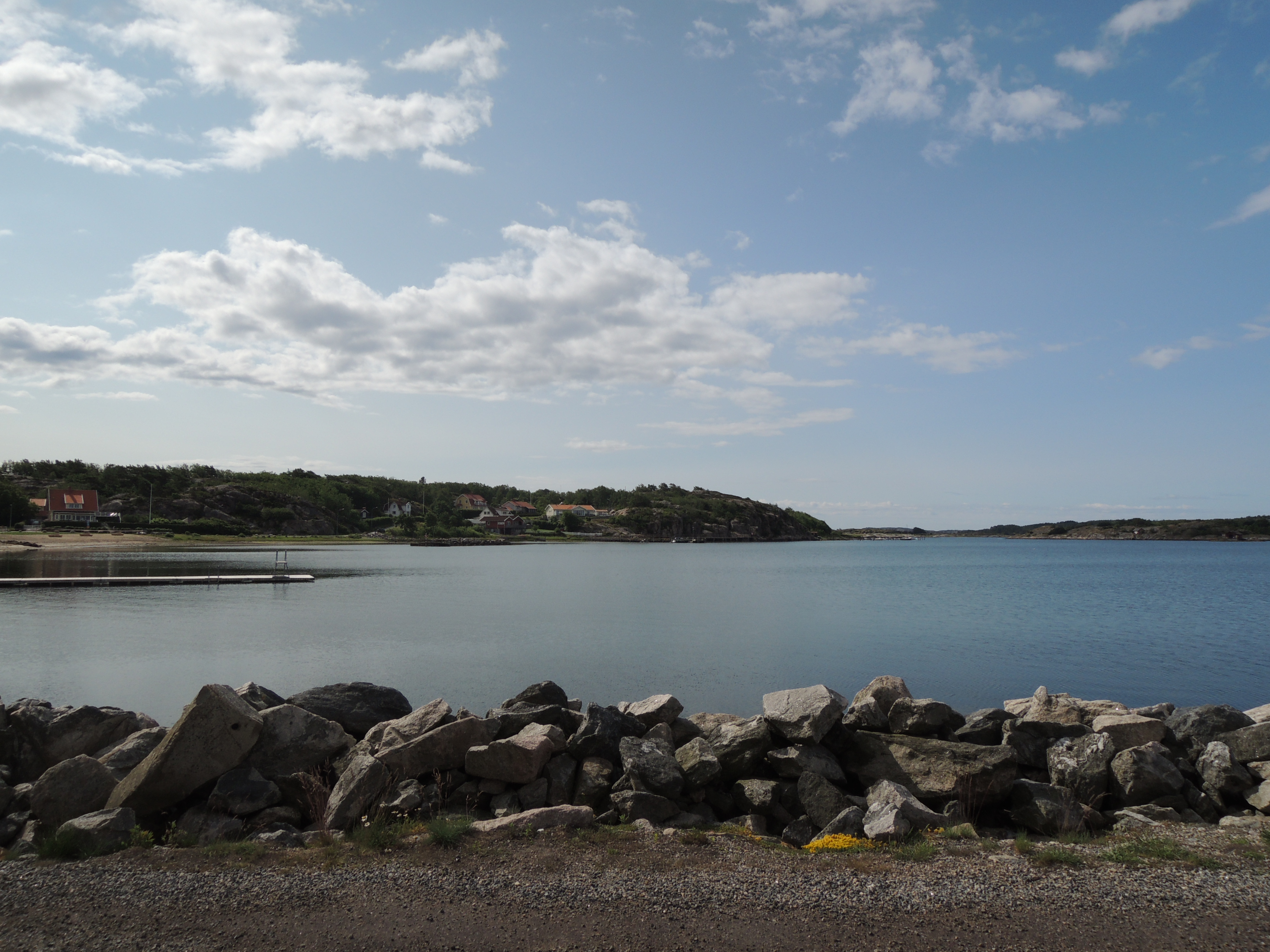 DSCN0879