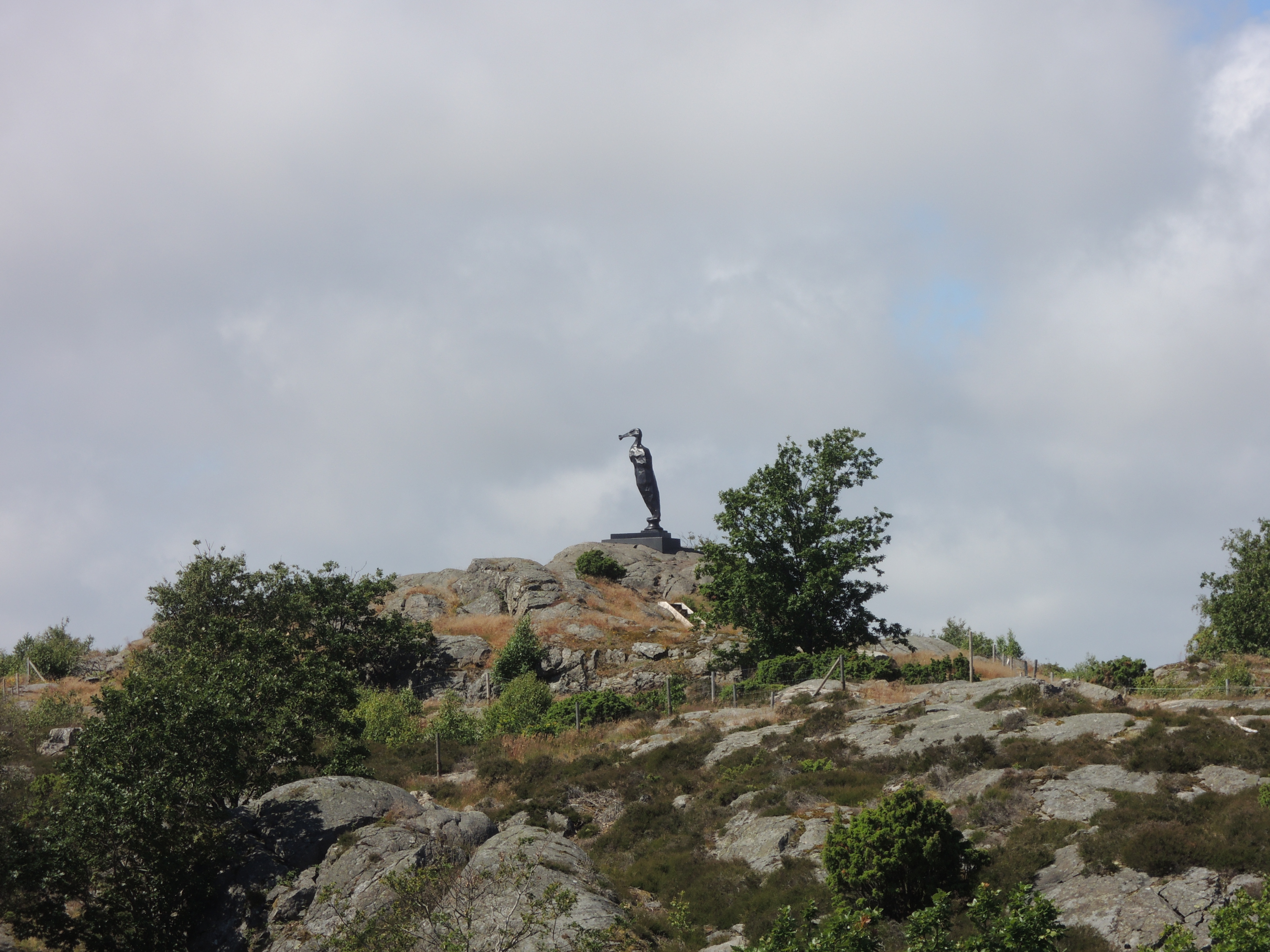 DSCN0937