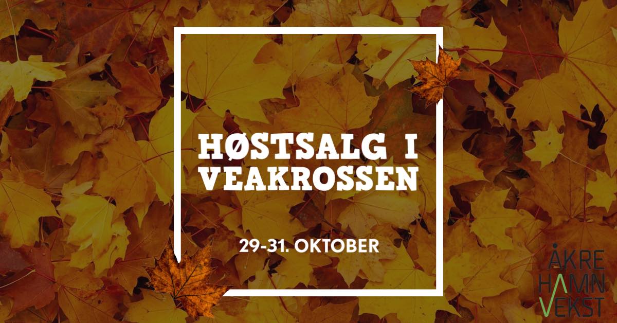 122444840_1037089600139585_2027304566211767311_n