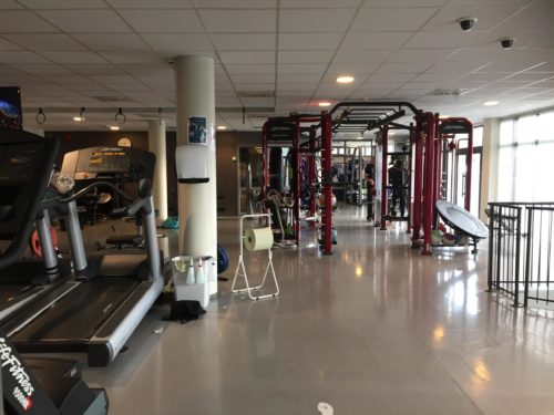 IMG_5482-scaled-500x375