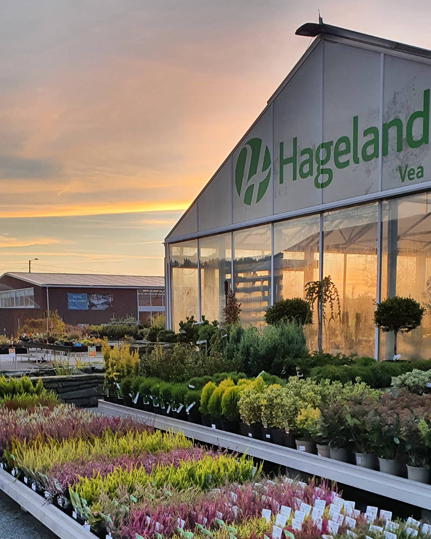 271058235_379219020674822_6900455406743720894_n