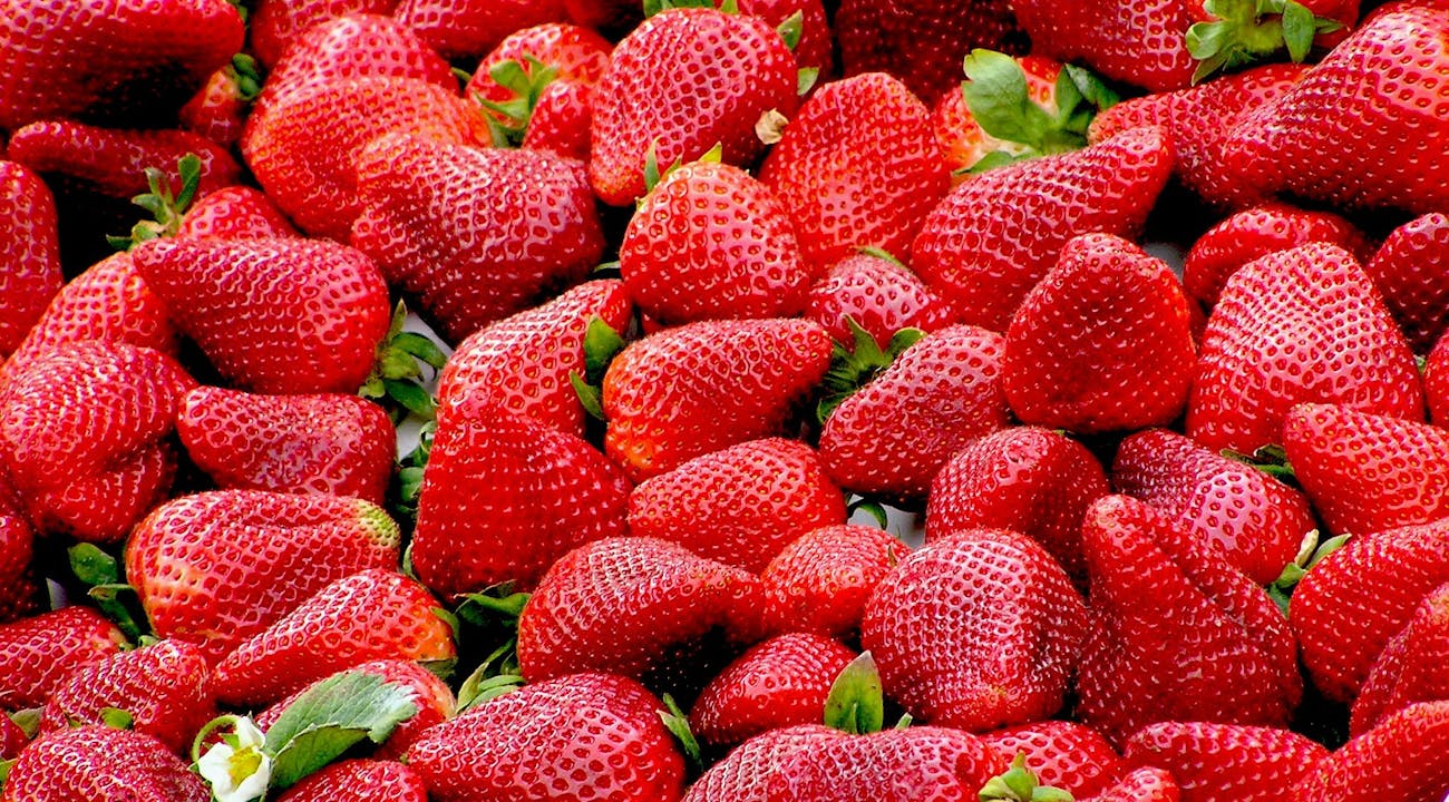 strawberries-g1b3c7734f_1920